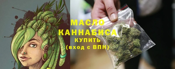 мдпв Вяземский